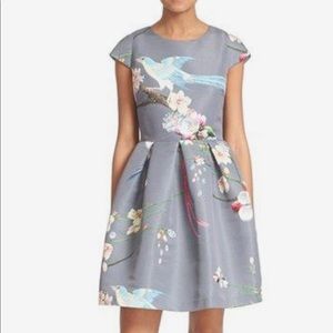 Ted Baker Zaldana print Fit and Flair Dress